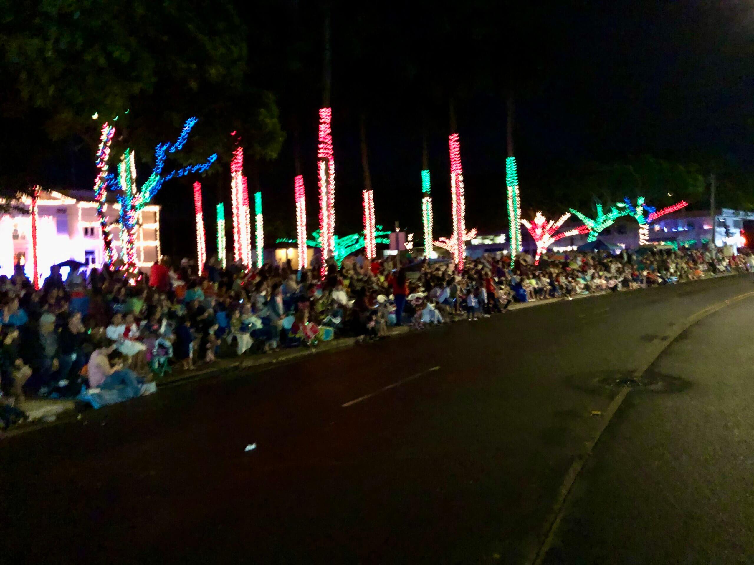 Home Lights on Rice Parade